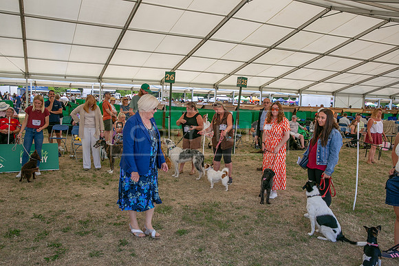 Scruffts Heat @ Windsor 29th June 2025-76