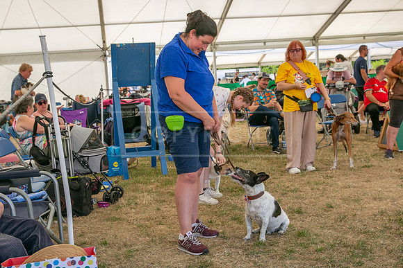 Scruffts Heat @ Windsor 29th June 2025-98