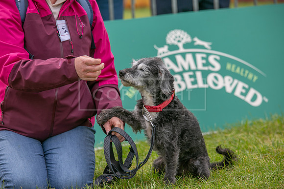 Scruffts Heat @ Shrewsbury 24th May 2025-69