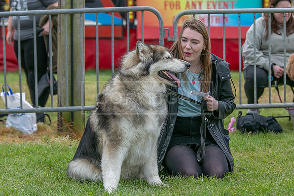 Scruffts Heat @ Shrewsbury 24th May 2025-77