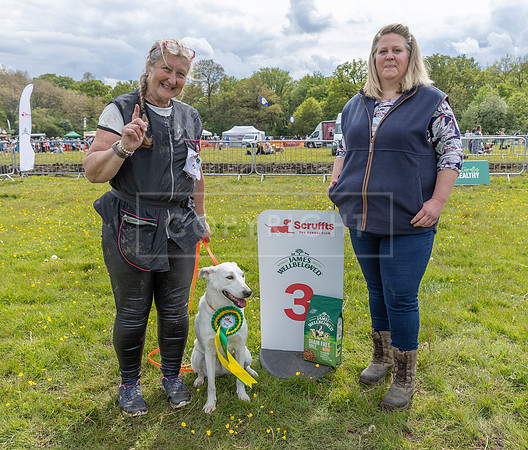Scruffts @ Hylands Park 5th May 2024-108