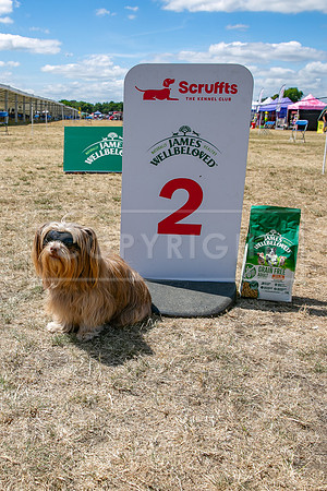 Scruffts Heat @ Windsor 29th June 2025-127