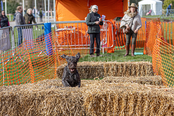 Thoresby Sat 29th Mar 25-012