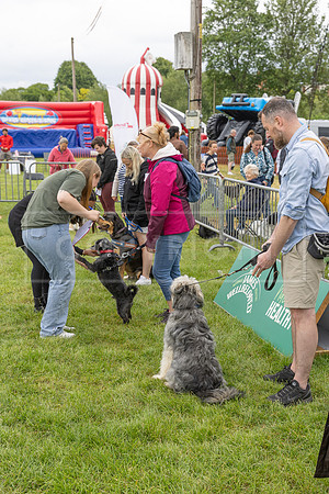 Scruffts Heat @ Shrewsbury 24th May 2025-18