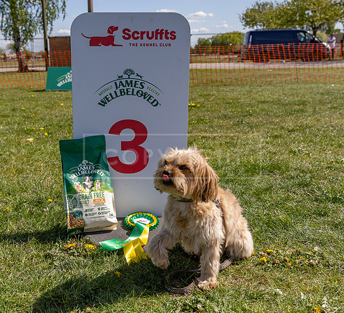 Scruffts @ Newark 27th April 2025-111