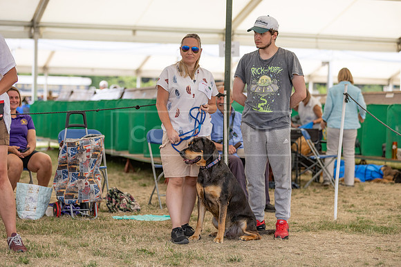 Scruffts Heat @ Windsor 29th June 2025-9