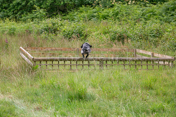 Ollerton 7th June 2025-157