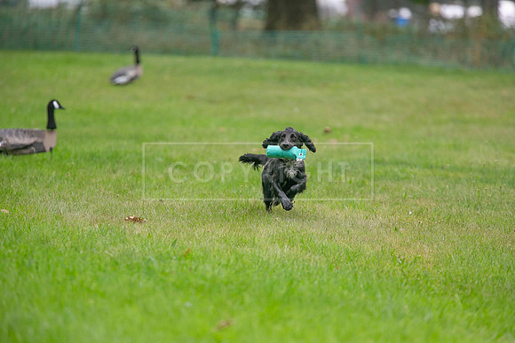 Jixenwell Scurry Challenge Final 2024-0277