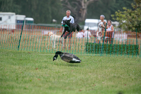 Jixenwell Scurry Challenge Final 2024-0410