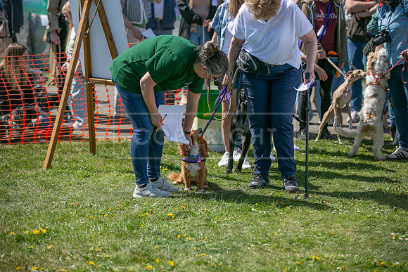 Scruffts @ Newark 27th April 2025-33