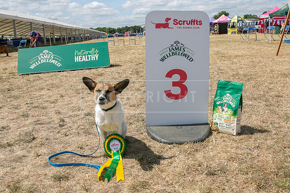 Scruffts Heat @ Windsor 29th June 2025-114