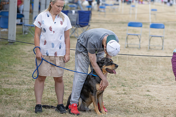 Scruffts Heat @ Windsor 29th June 2025-30