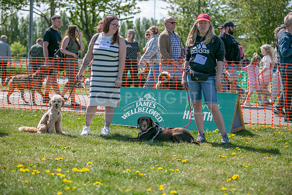 Scruffts @ Newark 27th April 2025-5