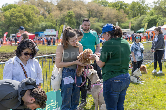 Scruffts @ Hylands Park 5th May 2024-045