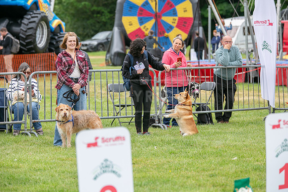 Scruffts Heat @ Shrewsbury 24th May 2025-30