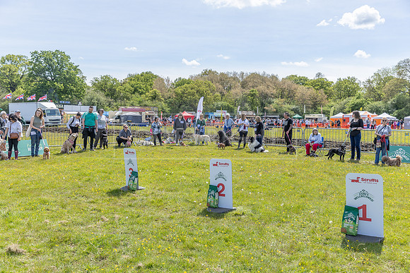 Scruffts @ Hylands Park 5th May 2024-036