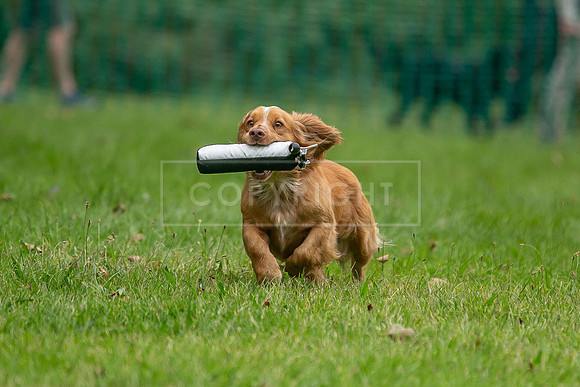 Jixenwell Scurry Challenge Final 2024-0366