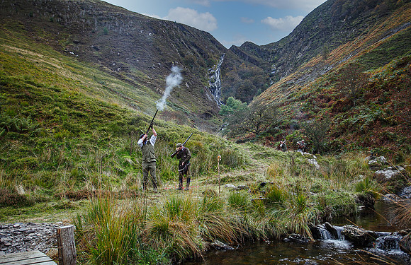Dyfi Falls 12 Oct-323