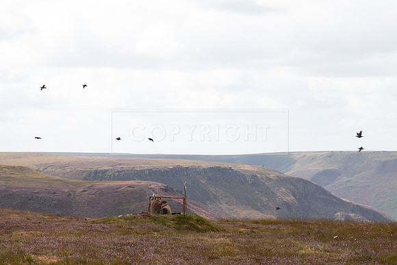 Upperwood 19th  Aug-166