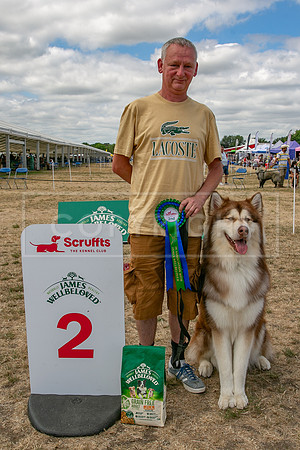 Scruffts Heat @ Windsor 29th June 2025-41