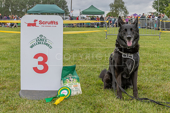 Scruffts Heat @ Shrewsbury 24th May 2025-114