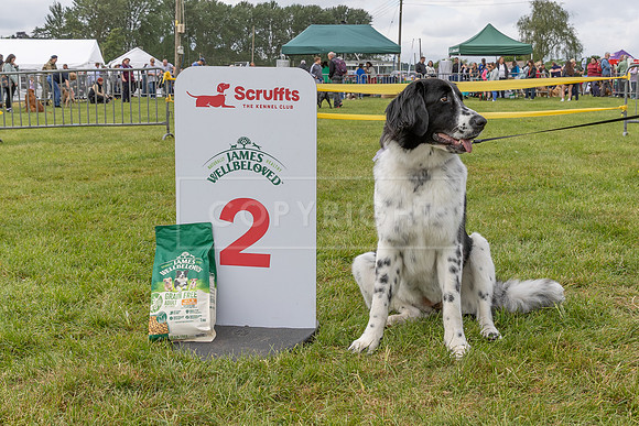 Scruffts Heat @ Shrewsbury 24th May 2025-63