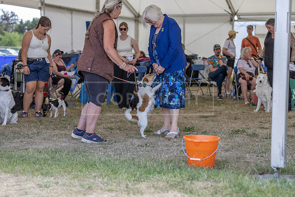 Scruffts Heat @ Windsor 29th June 2025-70