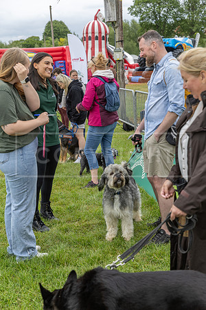 Scruffts Heat @ Shrewsbury 24th May 2025-19
