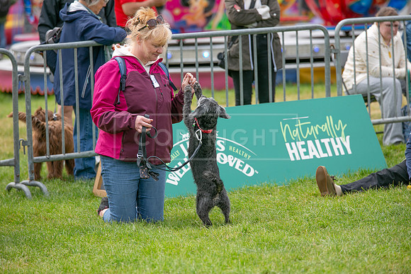 Scruffts Heat @ Shrewsbury 24th May 2025-80