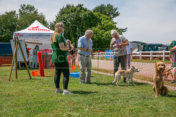 Scruffts heat @ Wadebridge 13th July 2025-60