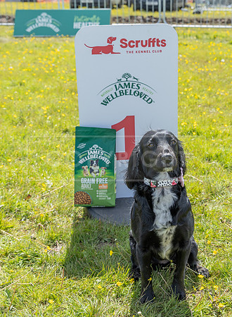 Scruffts @ Hylands Park 5th May 2024-063
