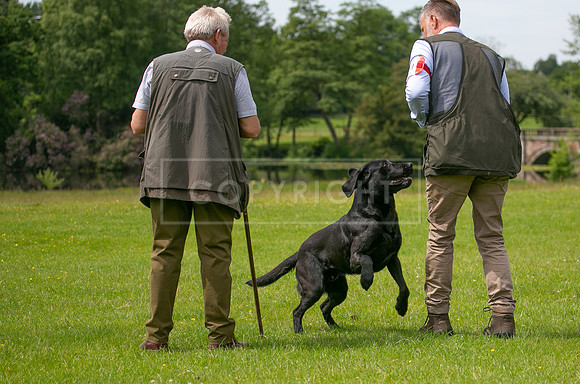Int Retriever Day 1 -112