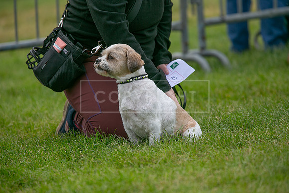 Scruffts Heat @ Shrewsbury 24th May 2025-79