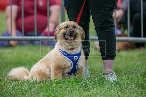 Scruffts Heat @ Shrewsbury 24th May 2025-17