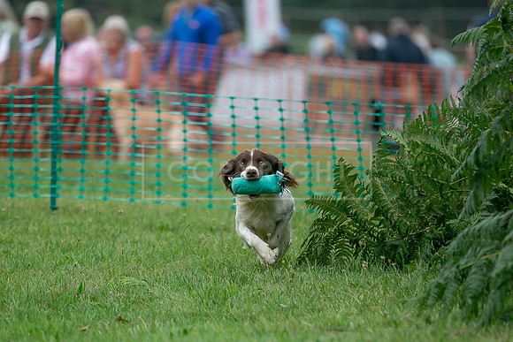 Jixenwell Scurry Challenge Final 2024-0393