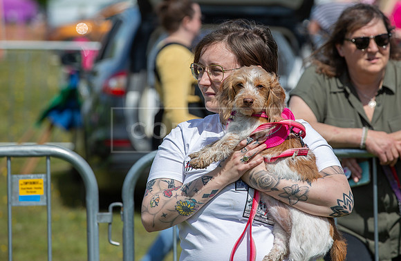 Scruffts @ Hylands Park 5th May 2024-041