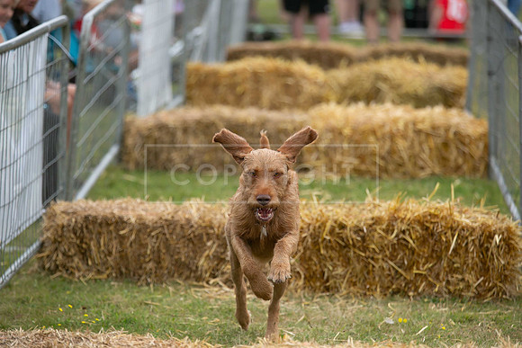Jixenwell Scurry @ Sandringham 2024-020
