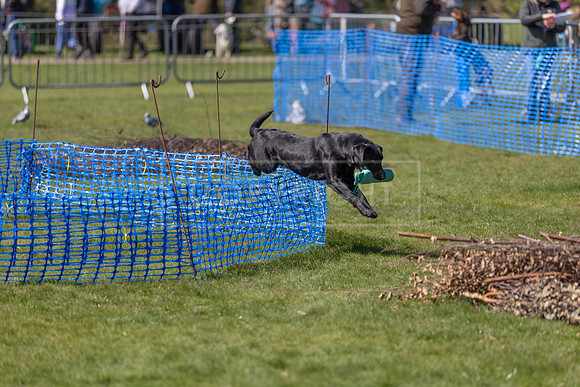 Thoresby Sun 30th Mar 25-191