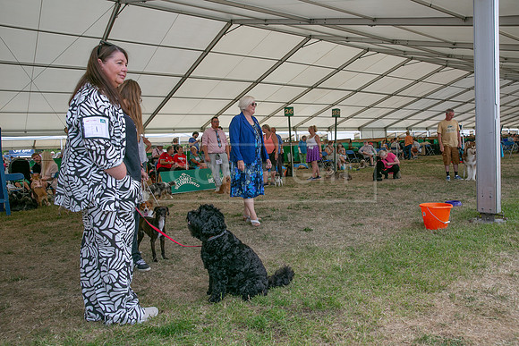 Scruffts Heat @ Windsor 29th June 2025-31