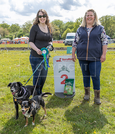 Scruffts @ Hylands Park 5th May 2024-086