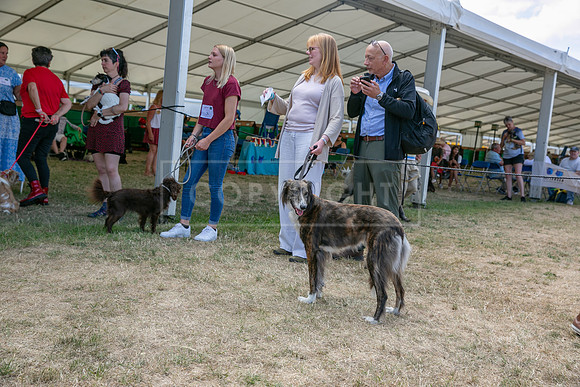 Scruffts Heat @ Windsor 29th June 2025-69