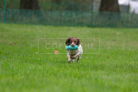 Jixenwell Scurry Challenge Final 2024-0306