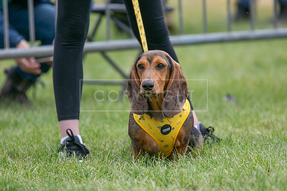 Scruffts Heat @ Shrewsbury 24th May 2025-49