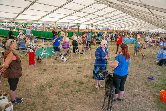 Scruffts Heat @ Windsor 29th June 2025-115