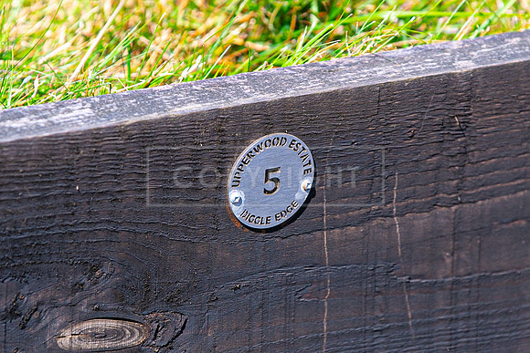 Upperwood 19th  Aug-192