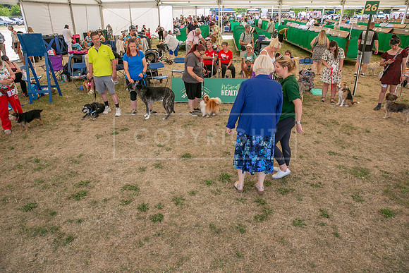 Scruffts Heat @ Windsor 29th June 2025-105