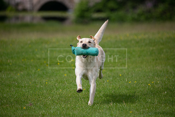 Int Retriever Day 1 -086