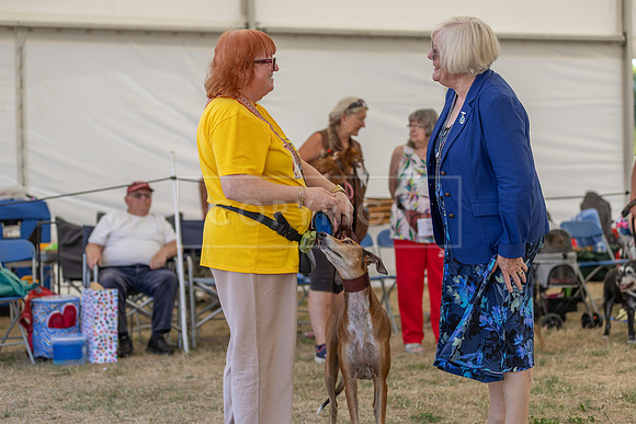 Scruffts Heat @ Windsor 29th June 2025-90