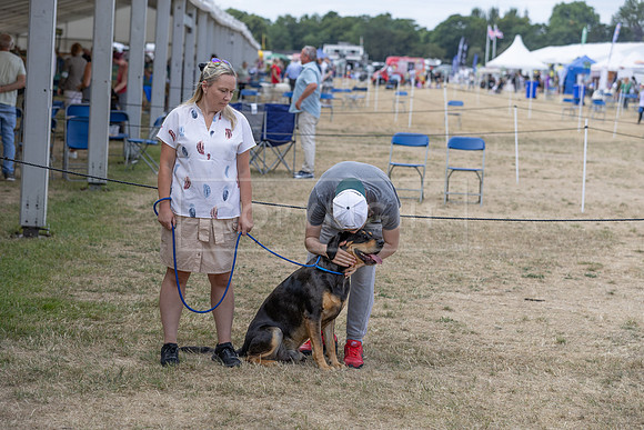 Scruffts Heat @ Windsor 29th June 2025-28