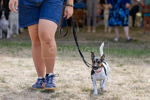 Scruffts Heat @ Windsor 29th June 2025-75